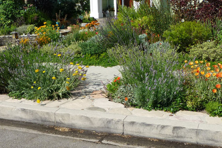 Parkways Might Be Cited