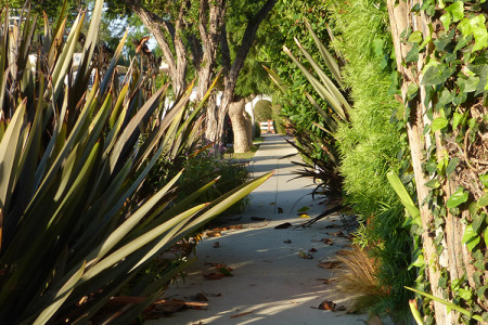 Sidewalks, Alleys Need More Work