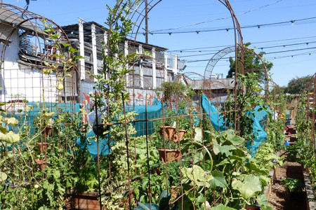 It’s One Gigantic Salad on Abbot Kinney