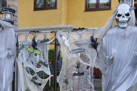 It’s Halloween!  Enjoy if You Dare!