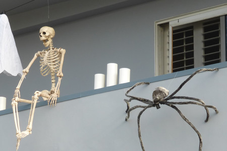 Skinny Sings Phantom