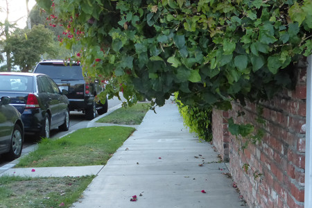 Things are Looking Better But …