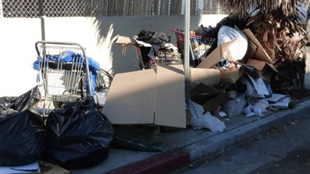 Environmental Group Bags It