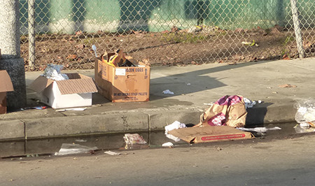 Grateful?–3rd Avenue