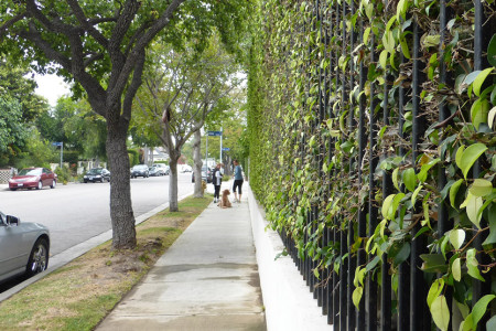 Way to trim