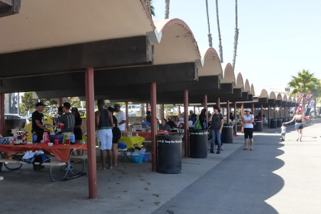 Picnic Area Packed Sunday