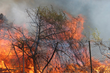 90 Freeway Median Catches Fire