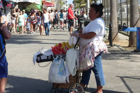 Fruit Vendor Joins Hawkers