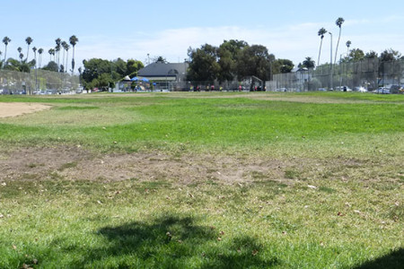 Oh Nice!–Not for Dogs Off Leash