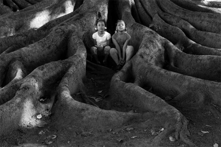 Venice Arts to Show Student Photos, Films