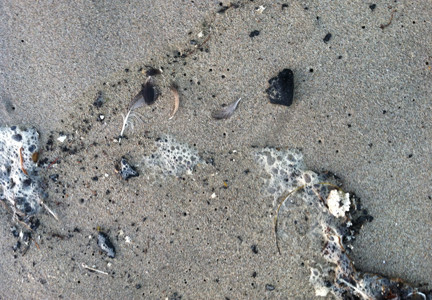 Tar Hits Venice Beach
