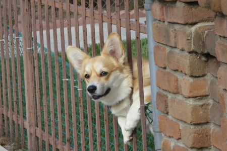 Just Hangin’