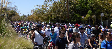 Bikes! Bikes! Bikes Galore!