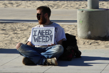 Homeless News About Town; Meanwhile Homeless...