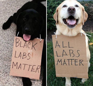 Comments–18 April 2016