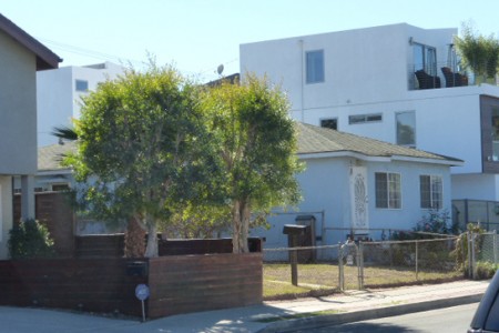 Dufay Critiques Mass, Scale, Character Report