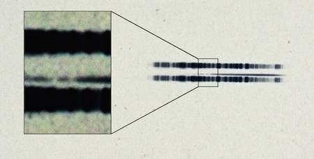 1917 Astronomical Plate from Mt. Wilson Observatory...