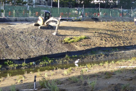 Bird Has Gourmet Buffet