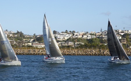 Sailboats Head for the Open Sea