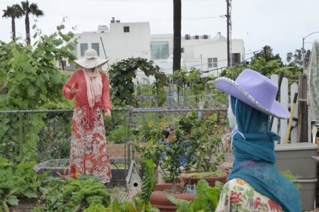 Scarecrows–On Westside They Dress Up!