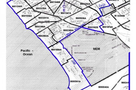 What about the City Election: How does Venice...