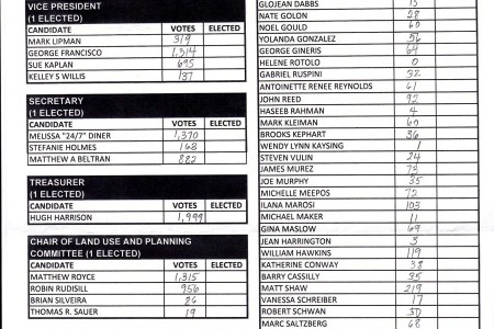 VNC Election Results