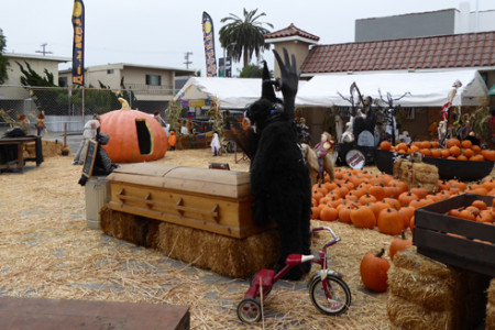 Lopez Pumpkin Patch Comes to Venice