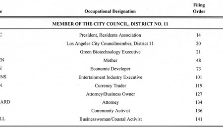 Eleven Declare for CD11 Council Seat