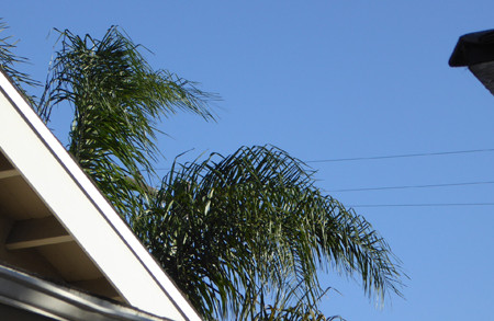 Small Thing; Hot Issue