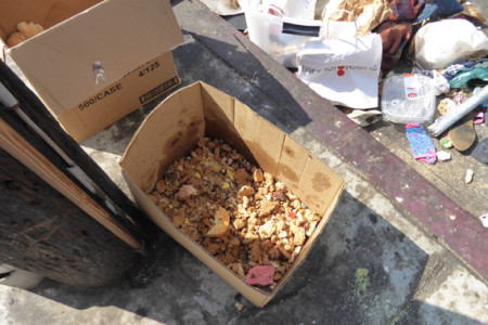 Dumping on 3rd, in Venice is Reaching Critical...