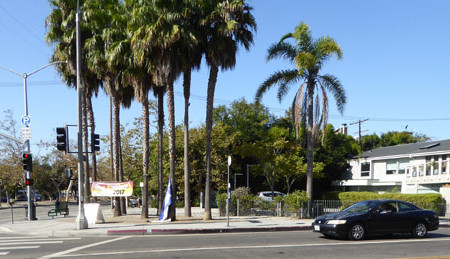 Murez Wins Abbot Kinney-Venice Blvd Appeal