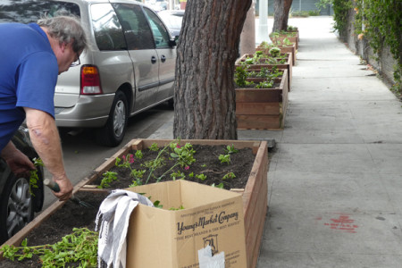 Venice Post Office Gets Planters and Plants...