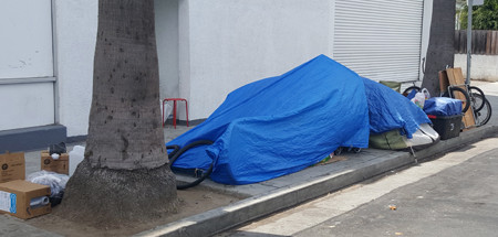 Nick, Cityhood Chair, Not Happy with Bonin...