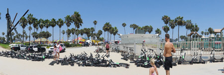 Police Clip Birds’ Wings at Venice...