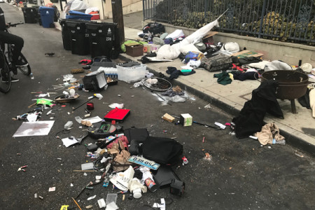Trashed on Hampton Dr