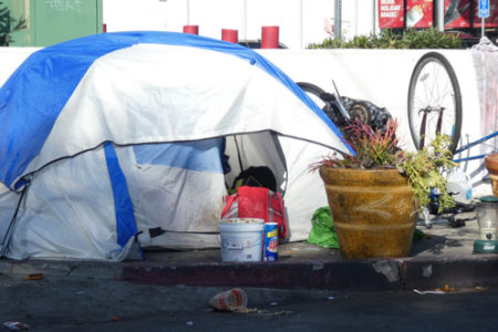 Encampment Update — 23 November
