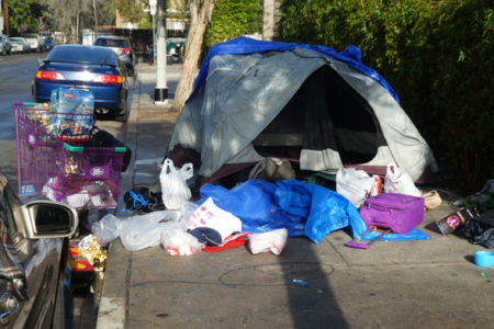 Encampment Update — 21 January