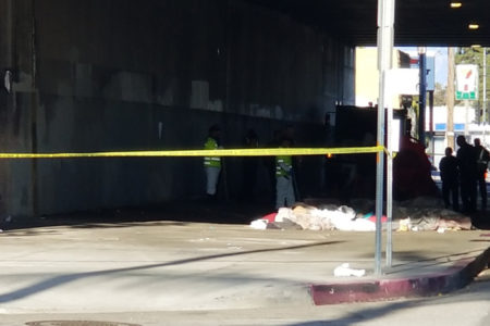 Sanitation Cleans LA Side of 405 Underpass...
