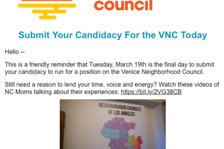 Venice Neighborhood Council Candidacy Applications...