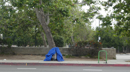 Encampment Update — 30 May 2019
