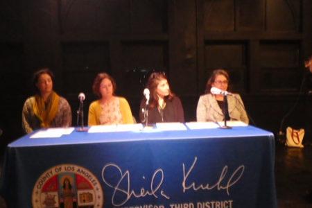 Panel Discussion Covered County Role in Mental...