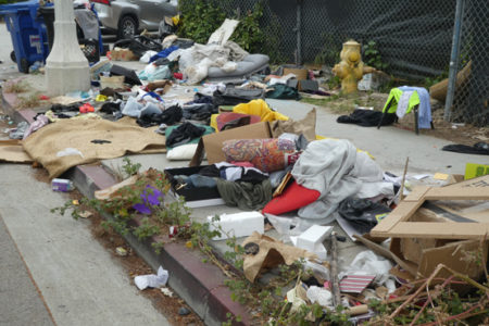 Are Dollars Spent on Encampment Cleanups...
