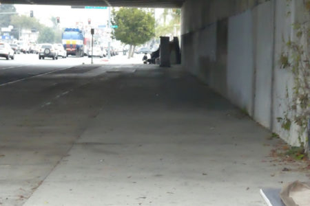 Sanitation Cleans North Side of 405 Underpass;...