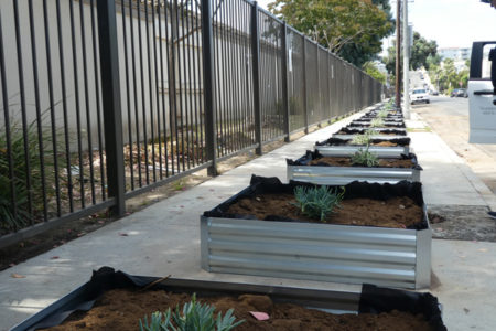 Planters Installed on West  Side of 4th Ave...
