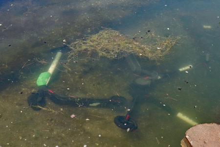 Scooters Prevented from Canals by Geo Fencing